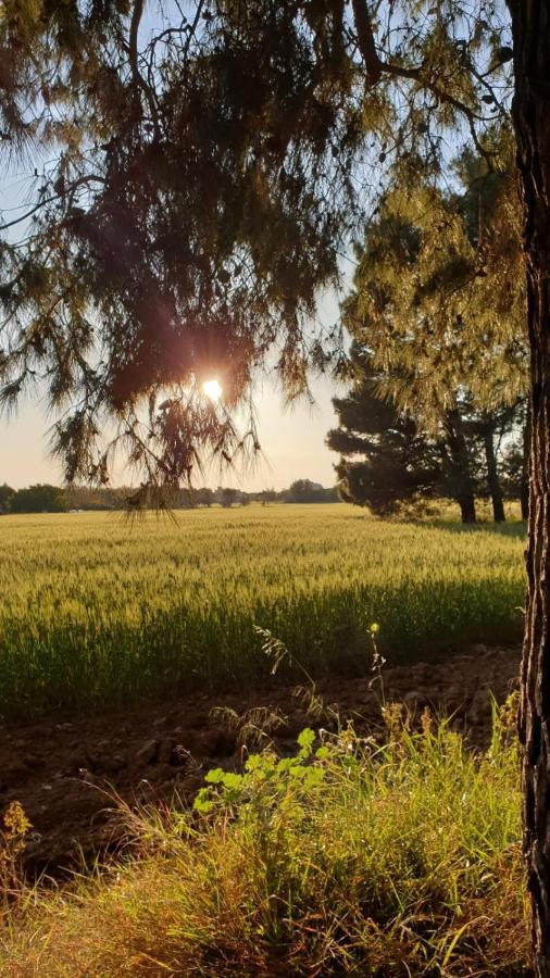 Masseria Vivi Il Salento Santa Caterina  Kültér fotó