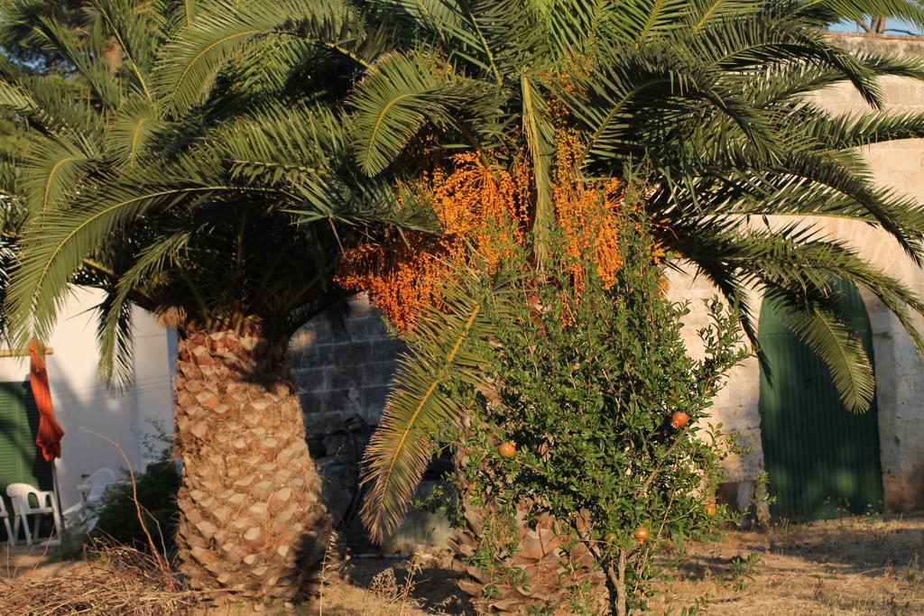 Masseria Vivi Il Salento Santa Caterina  Szoba fotó