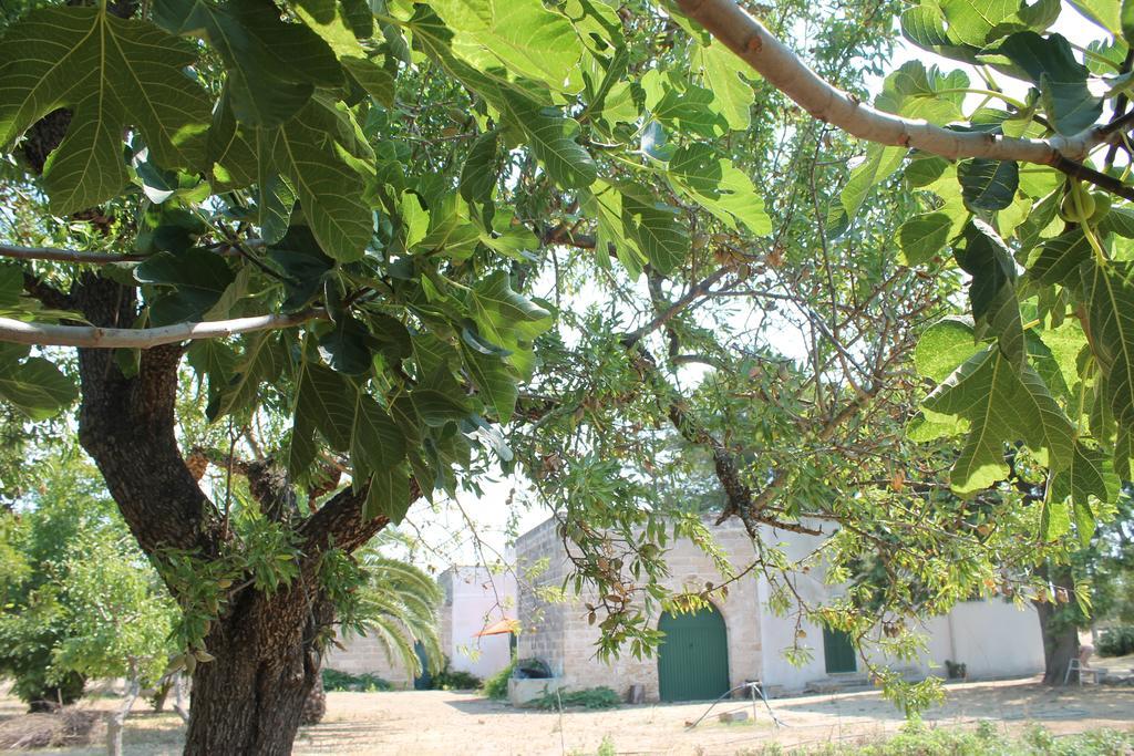 Masseria Vivi Il Salento Santa Caterina  Szoba fotó