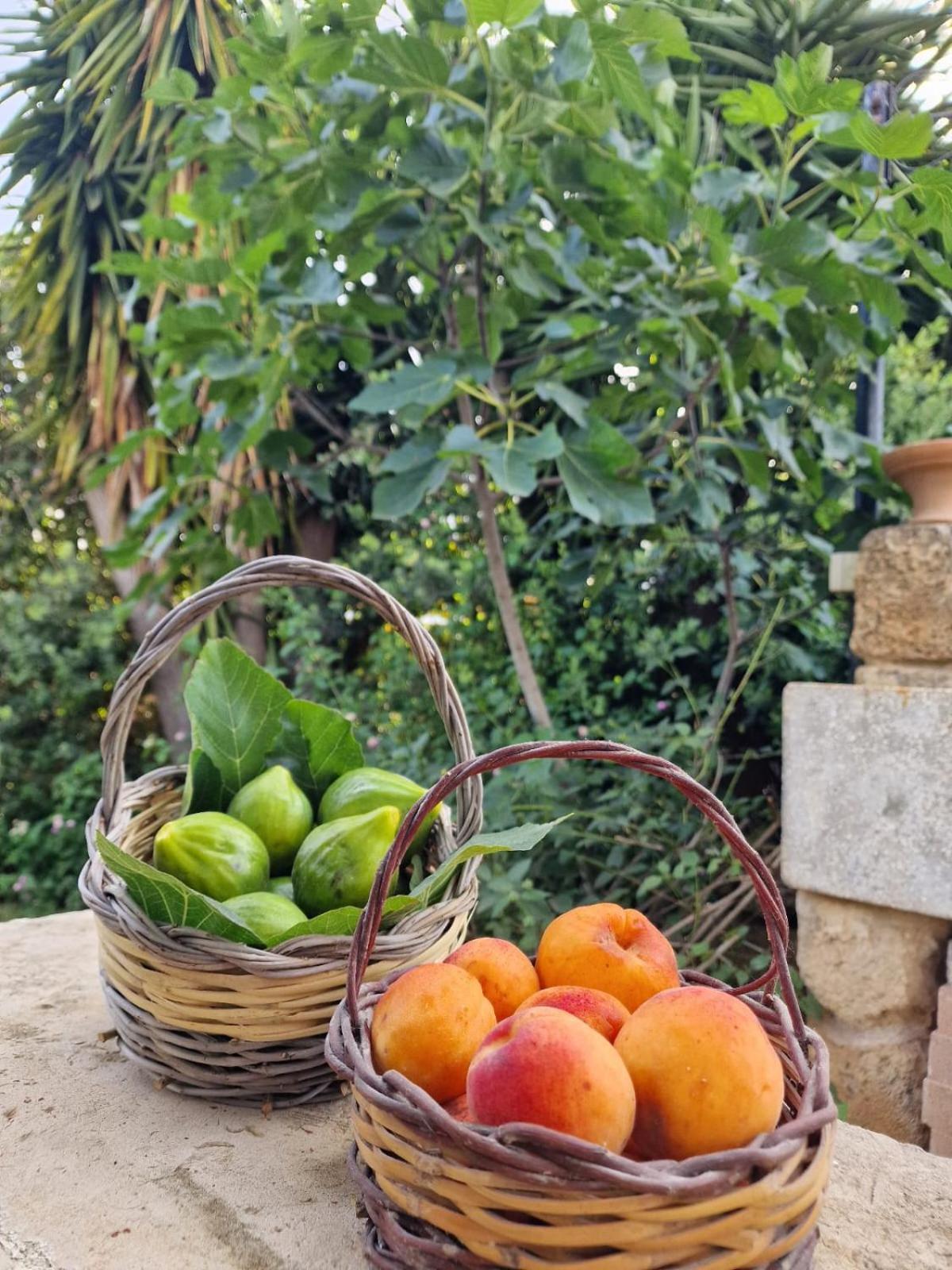 Masseria Vivi Il Salento Santa Caterina  Kültér fotó