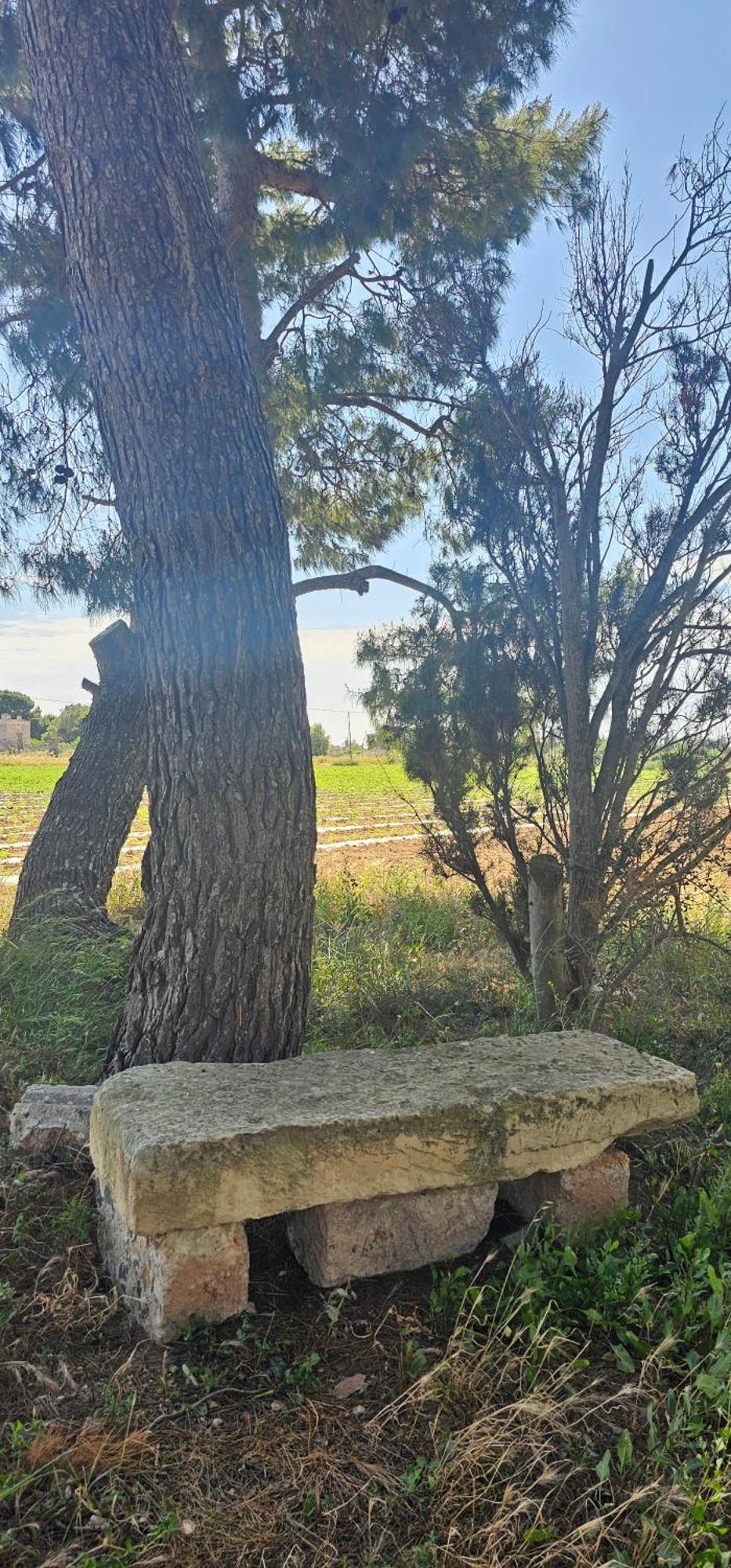 Masseria Vivi Il Salento Santa Caterina  Kültér fotó