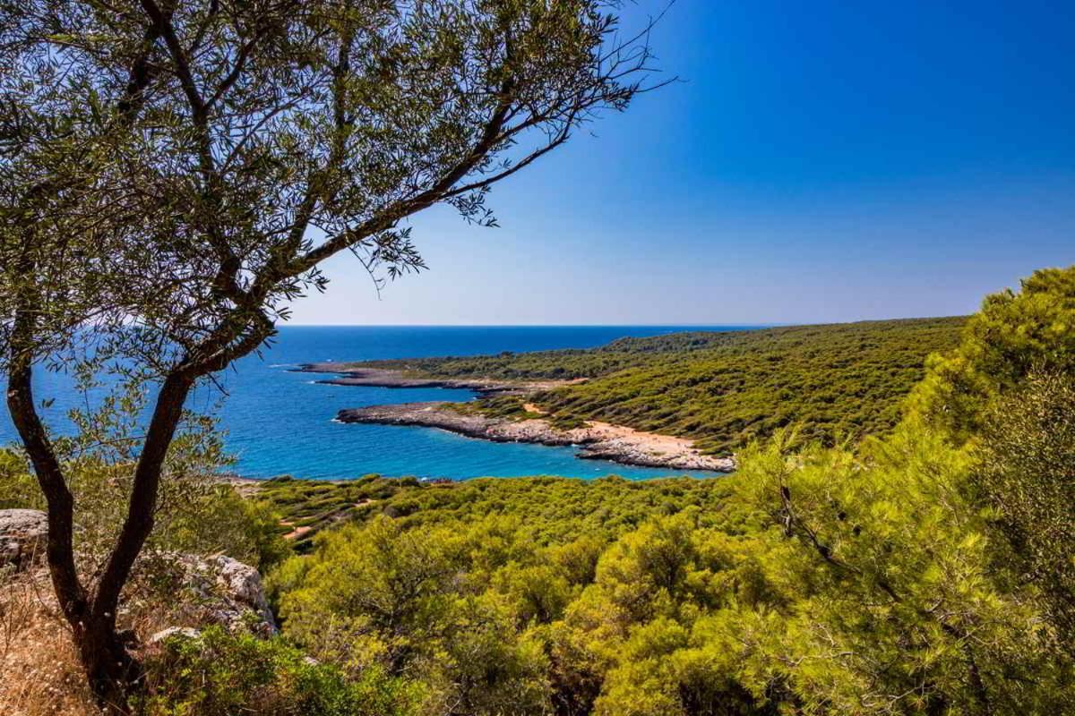 Masseria Vivi Il Salento Santa Caterina  Kültér fotó