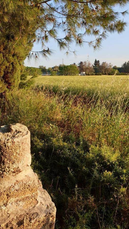 Masseria Vivi Il Salento Santa Caterina  Kültér fotó